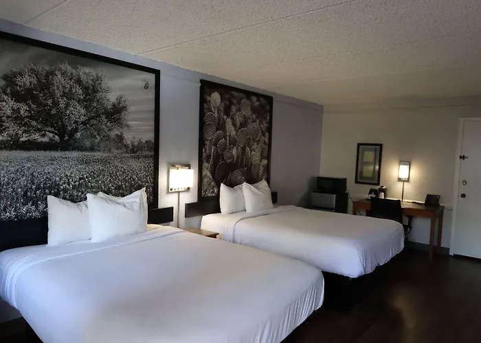 Super 8 By Wyndham Austin South I-35 Hotel